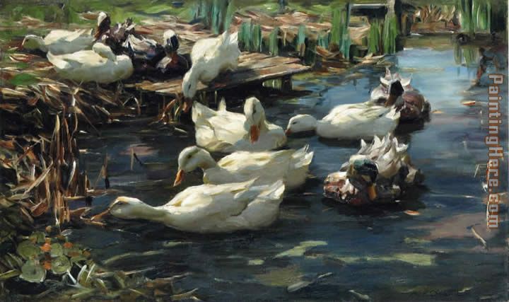 Ducks in a Quiet Pool painting - Alexander Koester Ducks in a Quiet Pool art painting